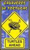 Cadaveres De Tortugas : Turtles Ahead